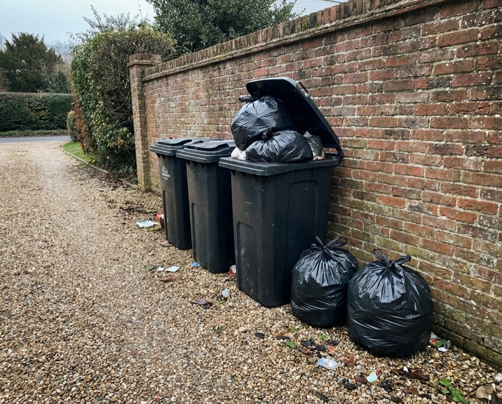 Overflowing wheelie bins in Chichester needing private collection